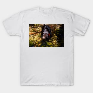 Devil Cooling Off T-Shirt